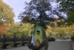 avocado_movie01